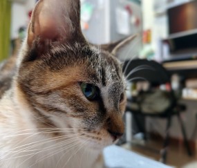 开云体育运营团队-墣泌/絺?=鄃"'